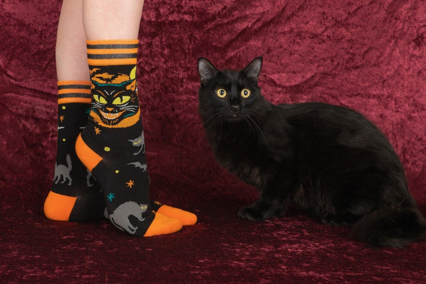 Person wearing Halloween-themed socks with a black cat on a red fabric background