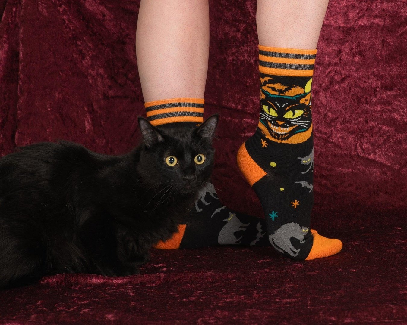 Person wearing Halloween-themed socks with a black cat design, standing next to a black cat on a red velvet background.