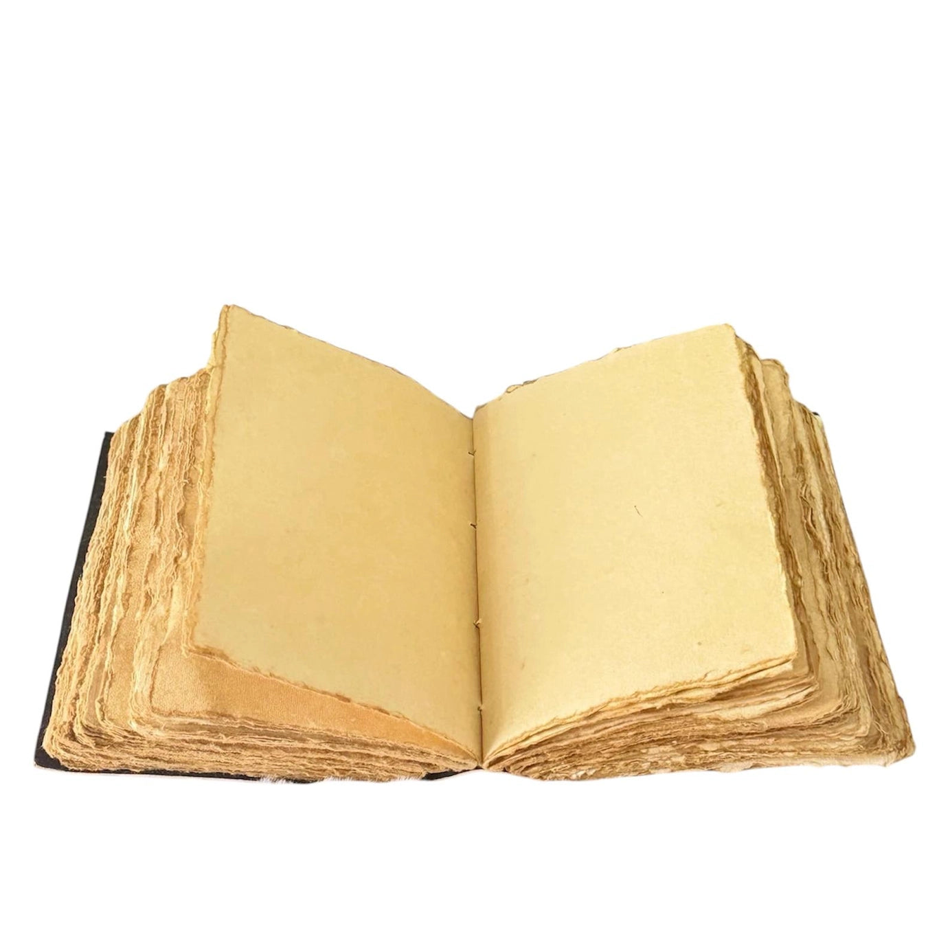 A leather journal against a white background, open to show the blank, vintage style pages.