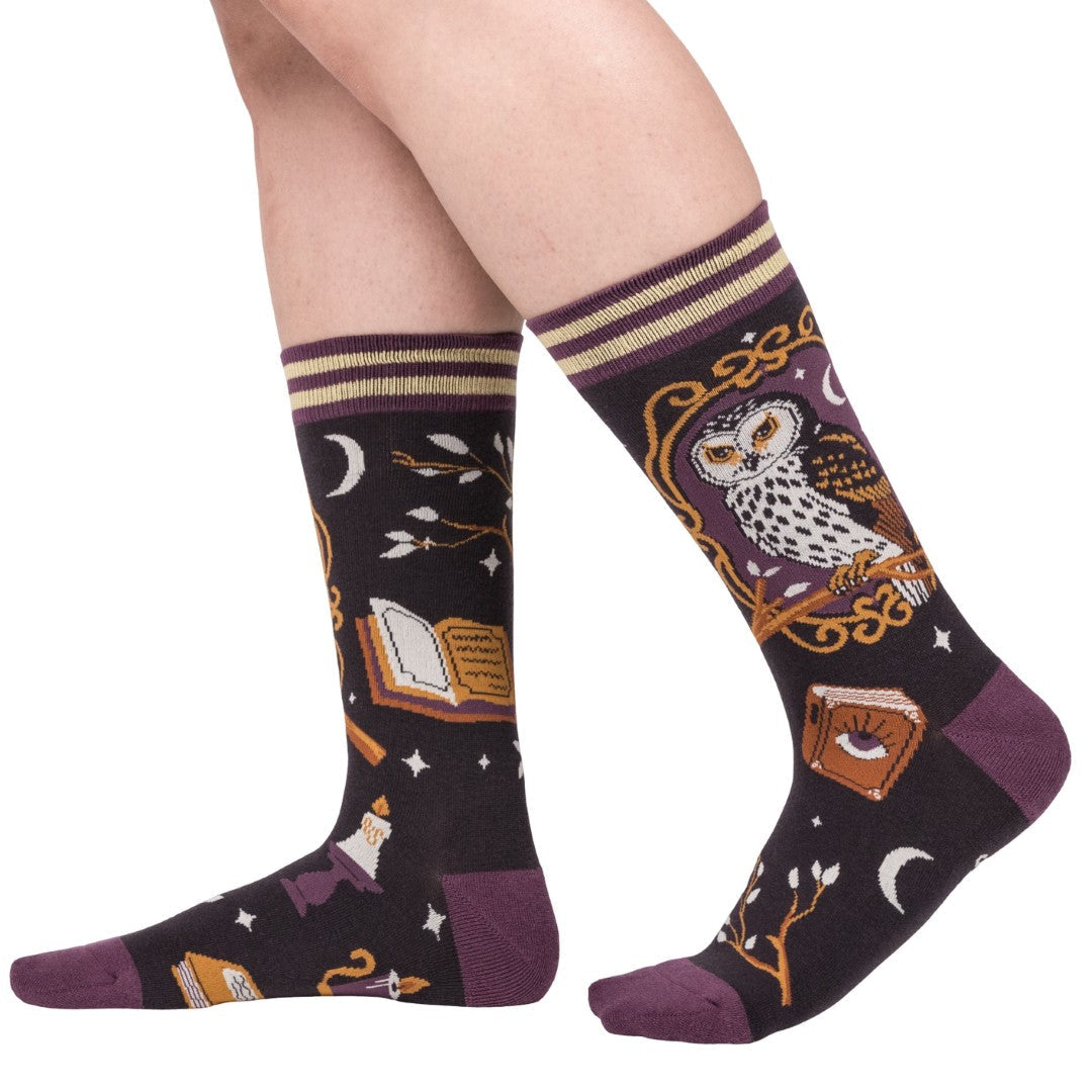Pair of socks with owl and book design on a white background