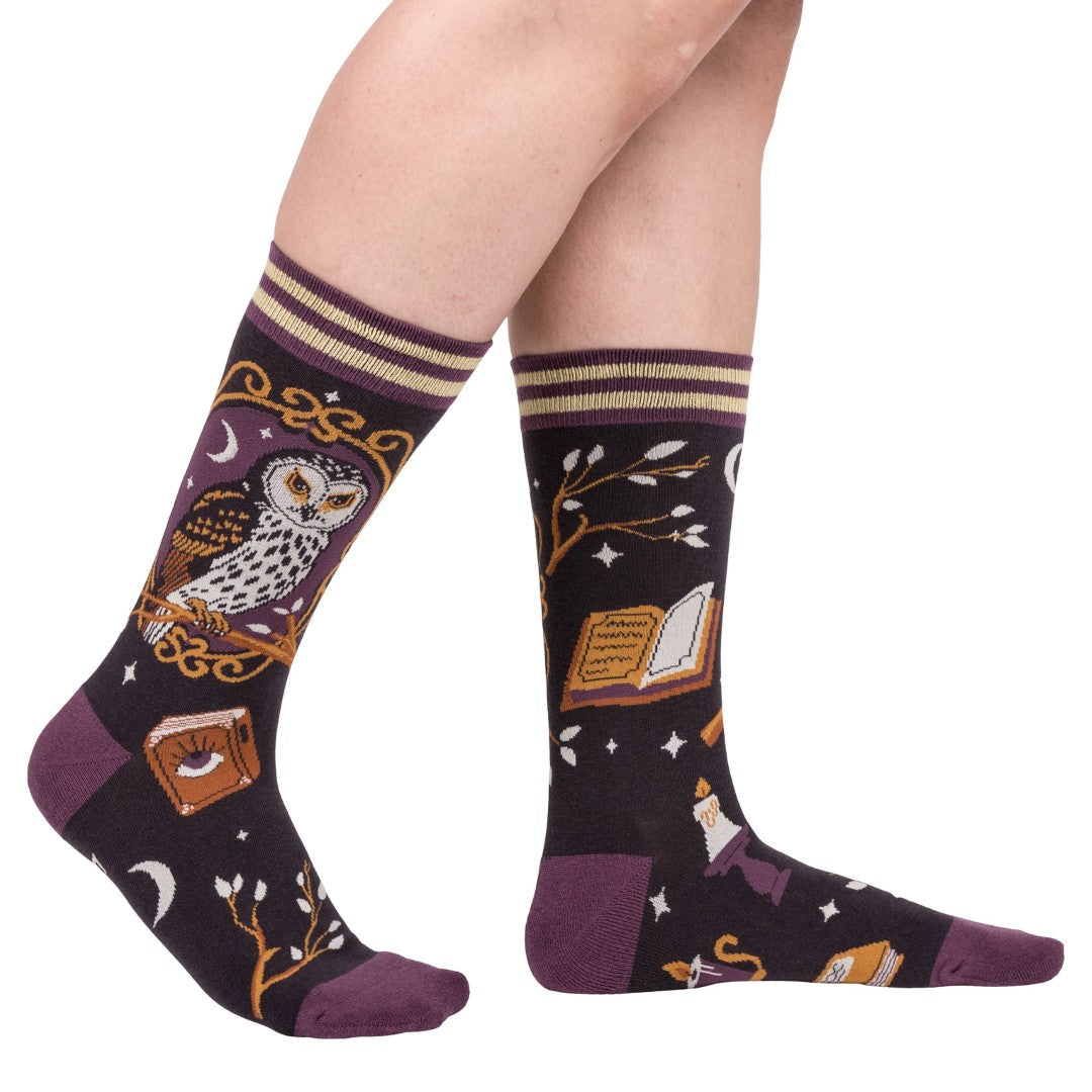 Pair of socks with owl and book design on a white background