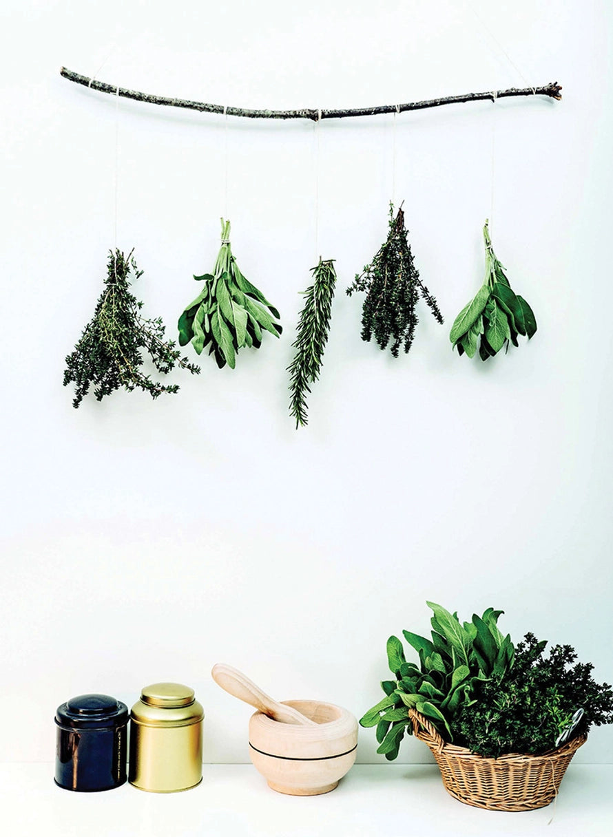 Dried hanging herbs.