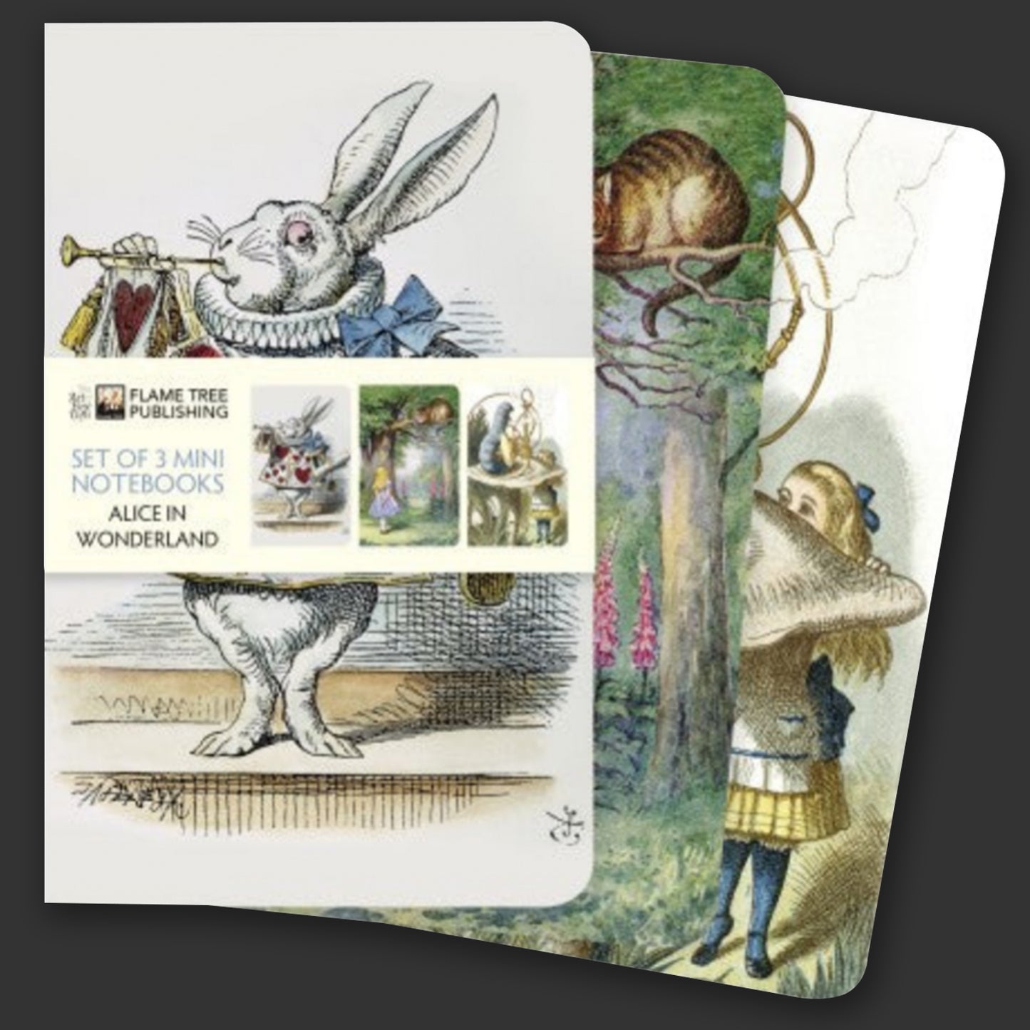 Alice in Wonderland | Set of 3 Mini Notebooks