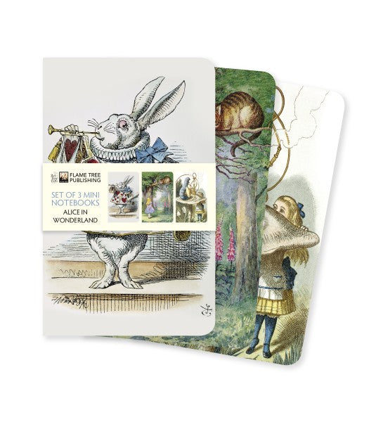 Three miniature notebooks in a neat stack. Each book's cover depicts characters and scenes from the book "Alice in Wonderland."