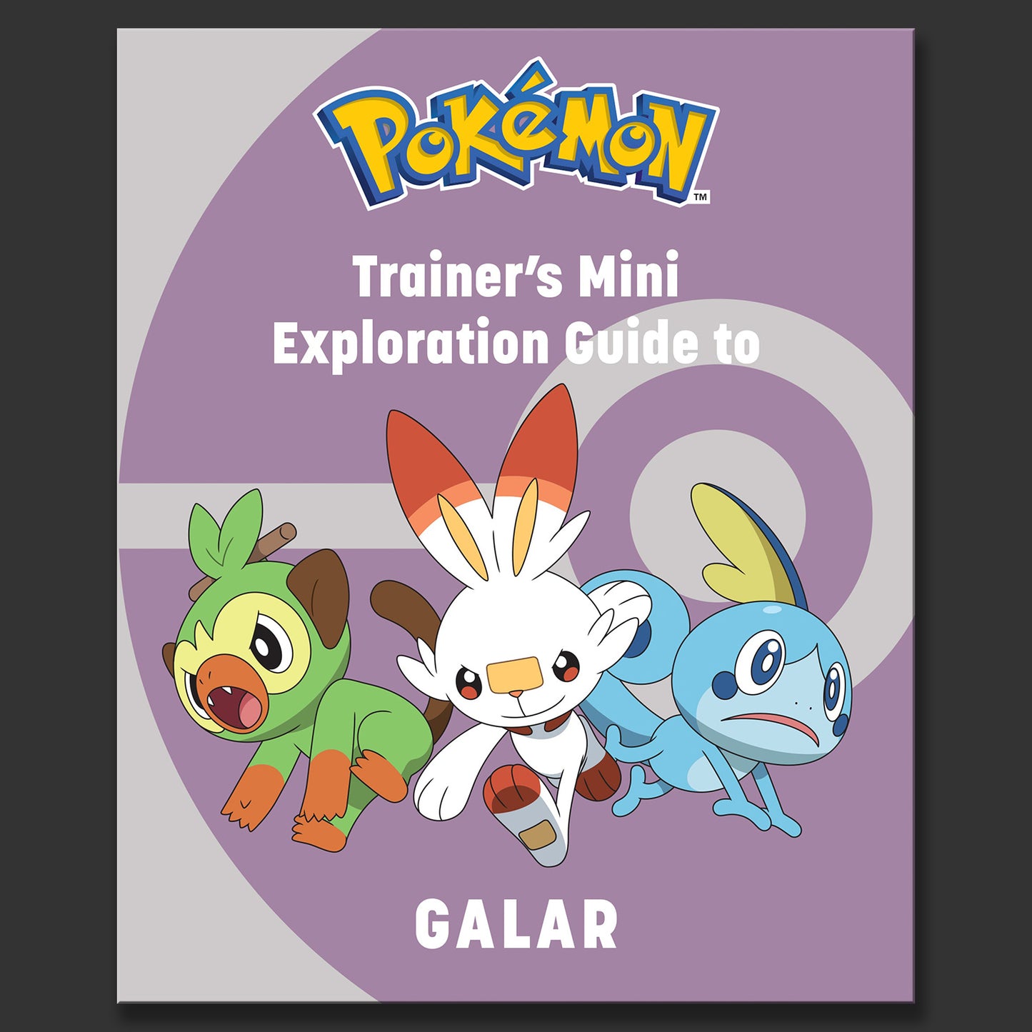 Trainer's Mini Exploration Guide to Galar | Pokemon