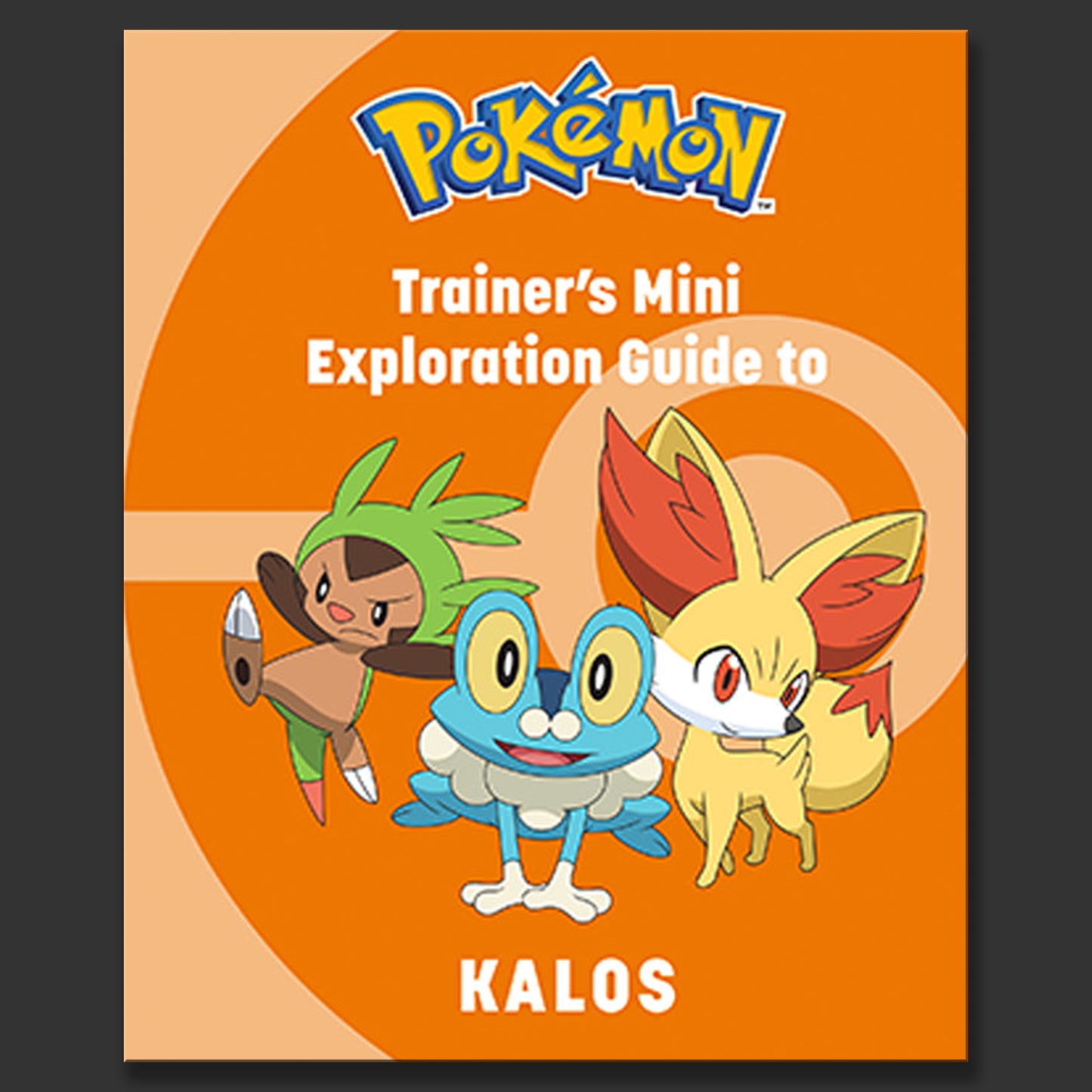 Trainer's Mini Exploration Guide to Kalos | Pokemon
