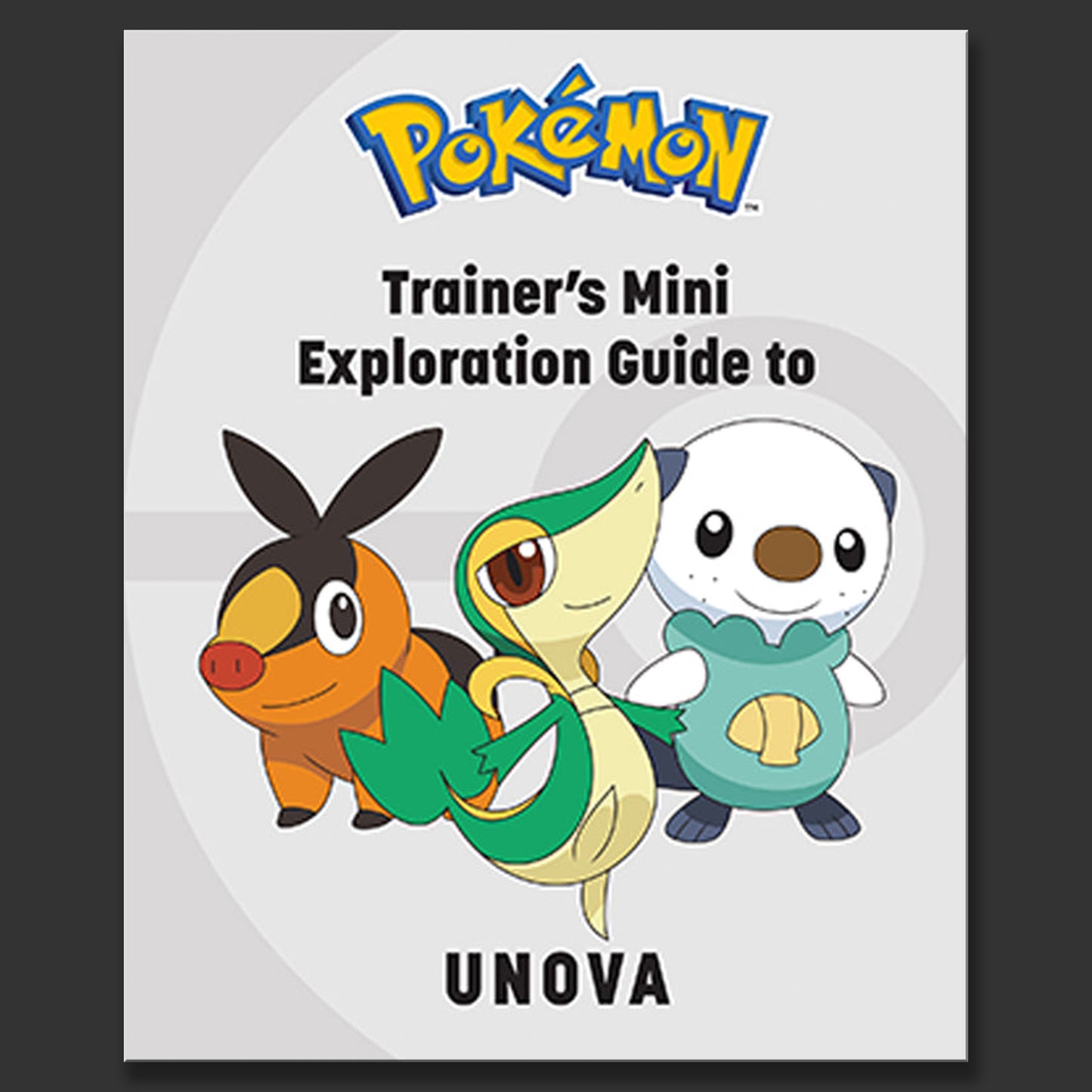 Trainer's Mini Exploration Guide to Unova | Pokemon